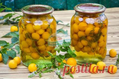 Консервированная алыча с мятой на зиму в банках: пошаговый рецепт с фото