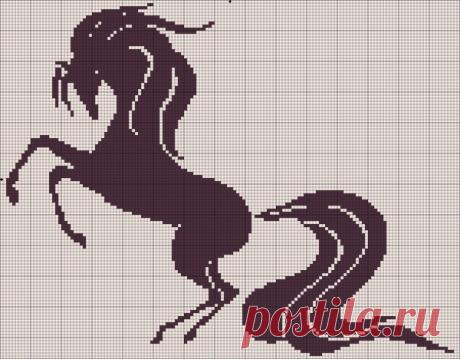 Gallery.ru / Фото #48 - Монохром - elena-555