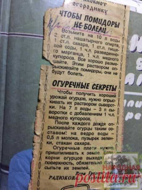 Огородникам на заметку!