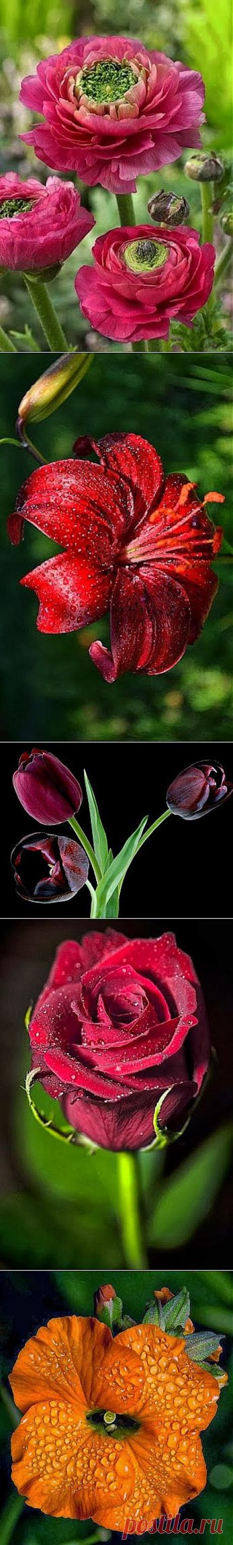 Alaaddin BOZKIR – Google+