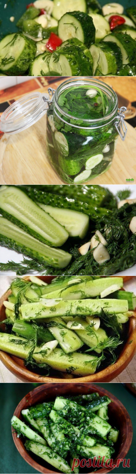 Малосольные огурцы 8 рецептов