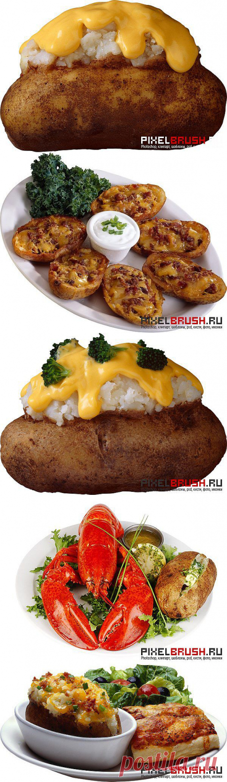 Картофельное пюре и запеченый картофель » PixelBrush - Портал о дизайне. Скачать фото, картинки, обои, рисунки, иконки, клипарты, векторный клипарт бесплатно, шаблоны psd, фотоклипарт, клипарт , скачать векторный клипарт