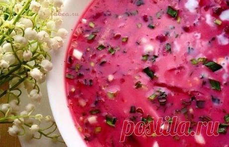 Рецепт холодника из свеклы