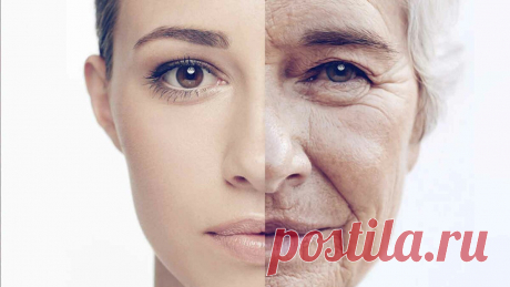 Как остановить старение организма? Топ-10 простых продуктов продлевающих молодость | Экспериментатор | Яндекс Дзен