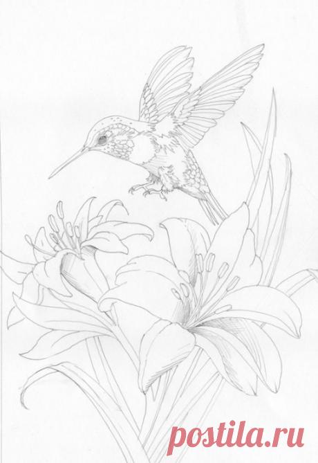 (11) Gallery.ru / Фото #2 - Лилии и колибри - masunja