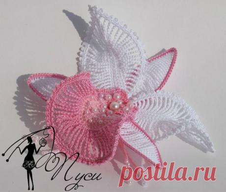 Без заголовка.