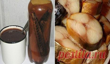Скумбрия в бутылке — настоящий деликатес! — Мир Растений