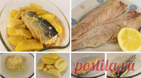 Запеченная скумбрия с сыром