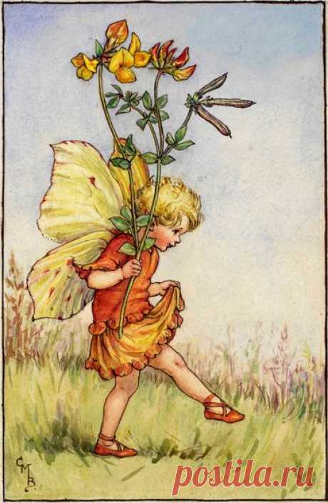 "The Fairies of The Summer Archives - Flower Fairies" — card of the user Катерина В. in Yandex.Collections