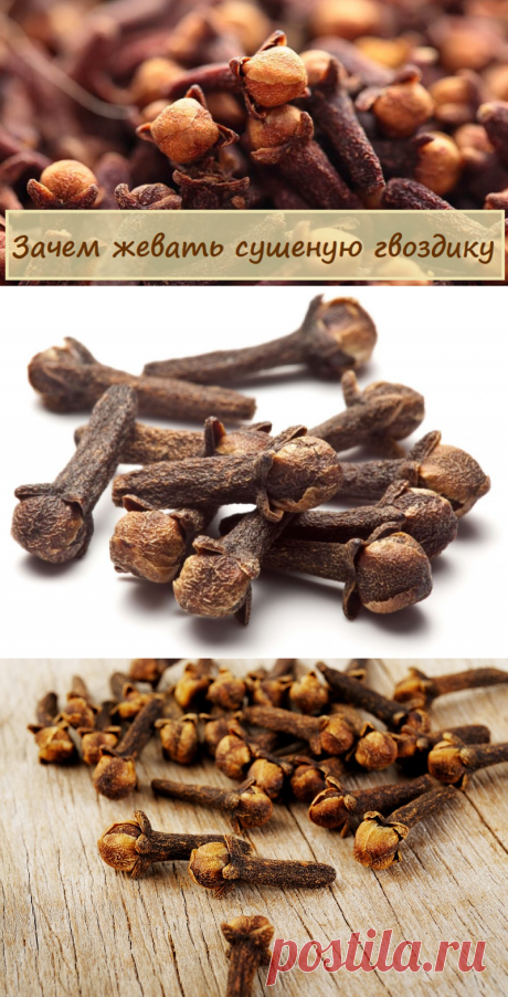 Семейный врач велел жевать сушеную гвоздику... Потрясающий эффект!