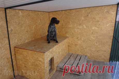 Уличный вольер для собаки своими руками: материалы, размеры, схемы RMNT.RU