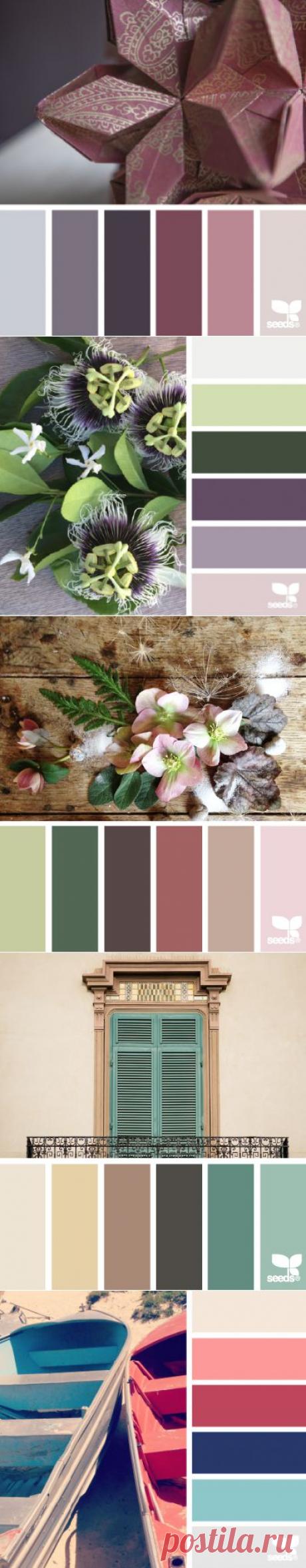 design seeds | search | for all who ♥ color