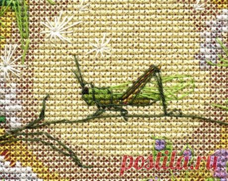 (8) Gallery.ru / Фото #7 - Кузнечик. Гусеница. Улитка - Fyyfvbwrtdbx1957