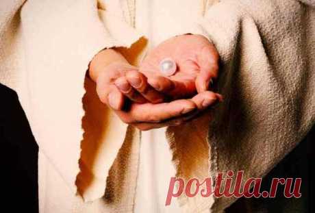 ОДНА ИЗ ЛУЧШИХ ПРИТЧ ЦАРЯ СОЛОМОНА