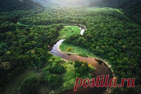 Самые большие лесные зоны в мире Природа сделала человечеству замечательный подарок – лес. Тысячи квадратных километров Земли, покрытых деревьями и кустарником, являются родным домом для животных, птиц и людей.Лес источник кислорода ...