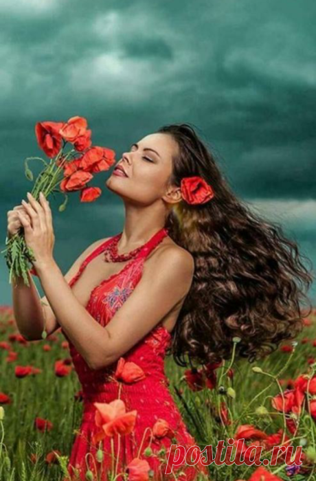 ✦०•✦०•--Life is not measured by the number of breaths we take,
but by the moments that take our breath away.✦०•✦०•--
- Maya Angelou✦०•✦०•--