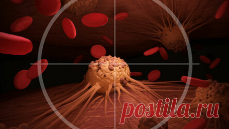 Знаете, что изображено на картинке? Раковая опухоль? Это ваша обида! По словам автора книги «Проекты прощения» доктора Майкла Барри, у 61% больных раком возникают проблемы с тем, чтобы простить и отпустить. Как и стресс, негативные эмоции также плохо влияют на ваше общее состояние здоровья. И ваш разум, и ваше тело страдают каждый раз, когда вы сожалеете о чем-нибудь слишком остро, прокручиваете плохие воспоминания в голове или испытываете негодование.