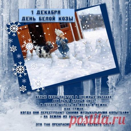 1 декабря - День белой козы
Белые козы пасутся в снежных облаках. Они пьют лунный свет,
и оттого шерсть их мягка и нежна, как туман.
Когда они переступают своими музыкальными копытцами, - на
землю из облаков сыпется снег..
Показать полностью…