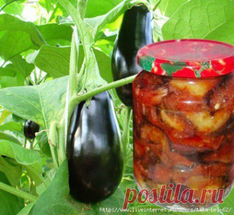 Заготовки: пряные баклажаны