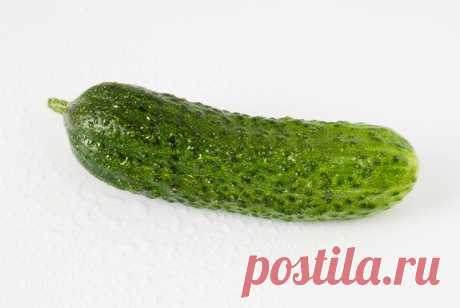 Картинки про огурец (38 фото) ⭐ Забавник