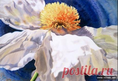 Amuze — все самое интересное, яркое и модное в интернете! — Самые реалистичные и сочные флористические акварели: креатив из Америки
