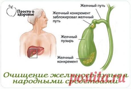 Трдат Доникян - Растворение камней в желчном пузыре Одним из...