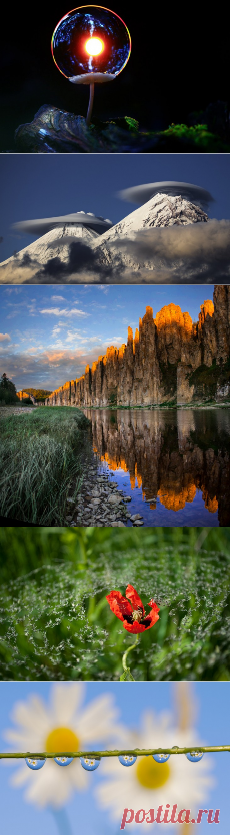 15 фотографий дикой природы России, от которых замирает сердце