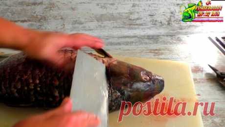 Три простых совета про чистку и разделку крупной рыбы, как просто чистить и разделать карпа, сазана | Fisherman DV.27RUS | Дзен