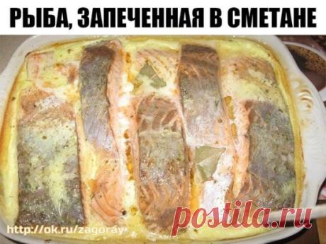 Рыба, запеченная в сметане
Ингредиенты:
● 2 кг рыбы (хек, минтай,судак и т.д.)
● 3 головки лука
● 2 яйца
● 150 г сыра твердых сортов
● 400 г сметаны
● растительное масло
● мука
● маленький пучок укропа
● специи, соль и горчица по вкусу