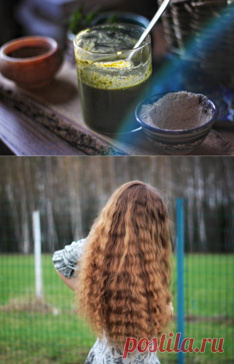 Очень необычный крапивный шампунь без щёлочи и химии. Проверила на себе и смело могу сказать - это работает! | Живые вещи | Яндекс Дзен