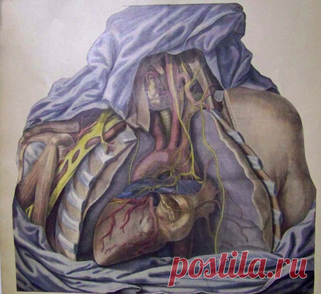 10 тревожных симптомов заболеваний, которые зря не воспринимаются всерьез Часто мы игнорируем сигналы организма, которые могут помочь диагностировать серьезное заболевание на ранней стадии.