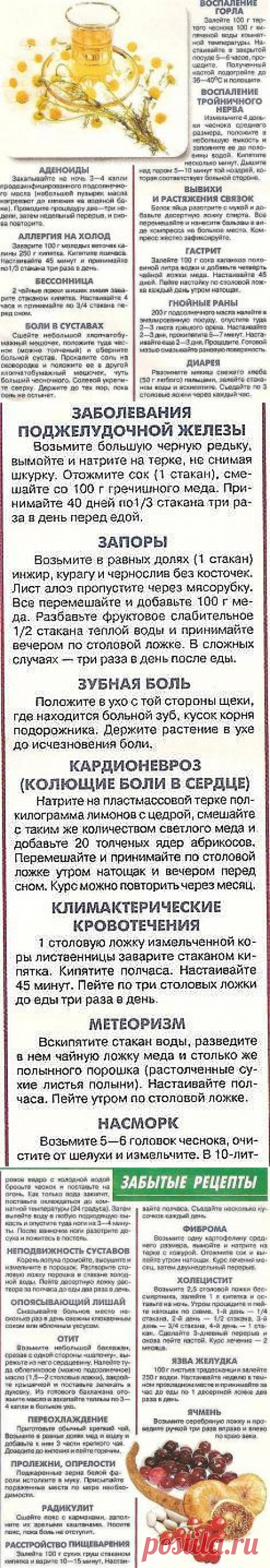 забытые рецепты