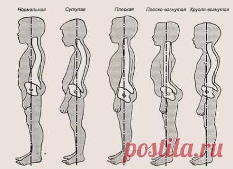 Курсовая работа - Здоровьесберегающие технологии в школе - Studmed.ru