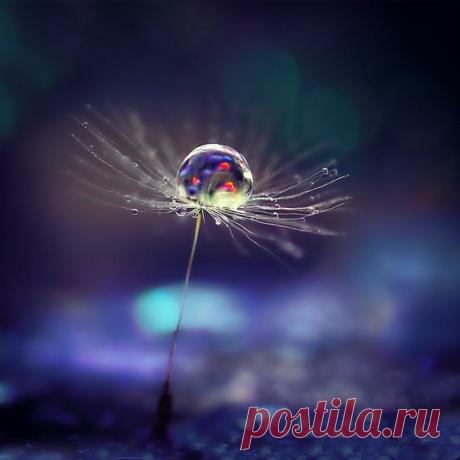 Мы долго думали, как назвать эту фотографию Полины Серовой (nat-geo.ru/photo/user/184111/), но так и не сошлись в едином мнении. Как бы назвали ее вы?