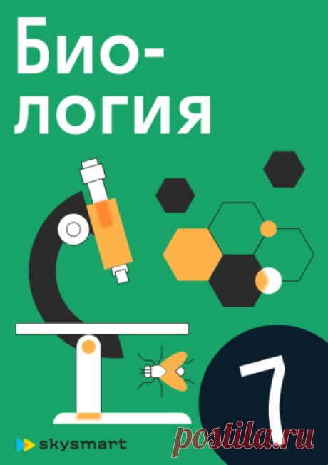Интерактивная рабочая тетрадь Skysmart