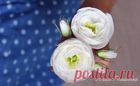 Создаем эустому или лизиантус из бумаги Всем привет! В этом видео я покажу как сделать ЭУСТОМУ (лизиантус) из гофрированной бумаги.Эустома или лизиантус – красивоцветущее растение, которое выращивают и в саду, и в домашних условиях. Широкую...