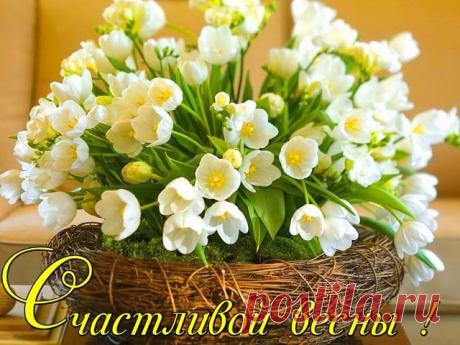 (47) Одноклассники