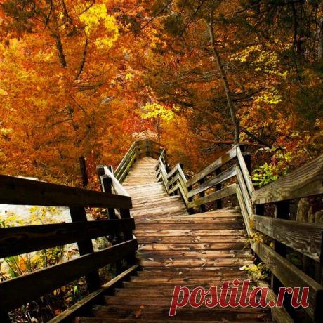 beauty of the nature