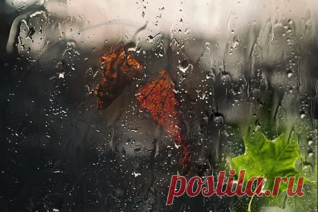 Смотрю в окно - дождь раздевает Осень...