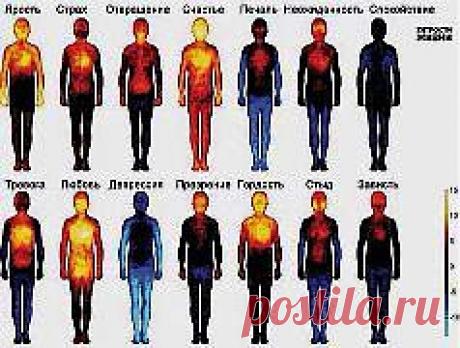 Одноклассники