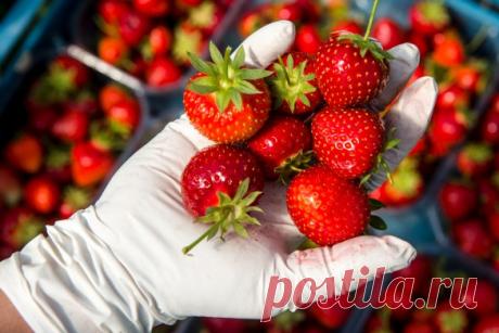 Перекись водорода и ее необычные свойства