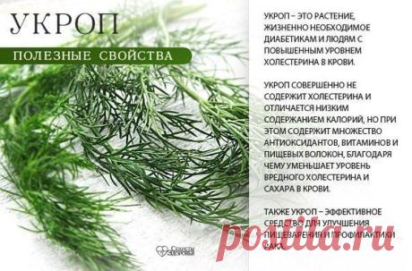 Секреты здоровья | ВКонтакте