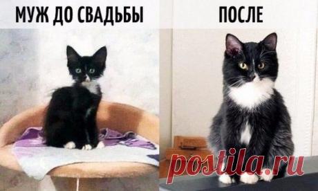 Святая миссия всех жен