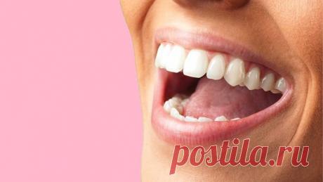 Факты о рте | Город Фактов Рот - это невероятный орган, который играет жизненно важную роль в нашей повседневной жизни. Рот - это замечательная часть нашей анатомии, позволяющая нам