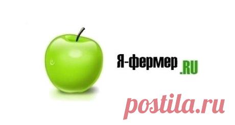 Лунный посевной календарь садовода и огородника на 2015 год / Растениеводство / Агропортал Zamay.org
