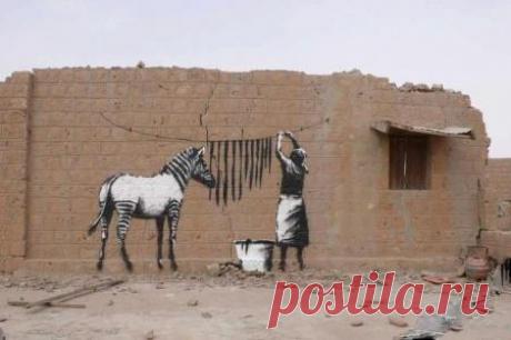 Pauline on Twitter: "@JaredLeto Street Art . Zebra . by Banksy https://t.co/3PBzOrkycy https://t.co/pFk2jeYq6J" / Twitter