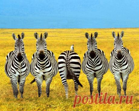 САМЫЙ КРАСИВЫЙ ПЕЙЗАЖ. - 151 фото. Фотографии Valeri Denisov.