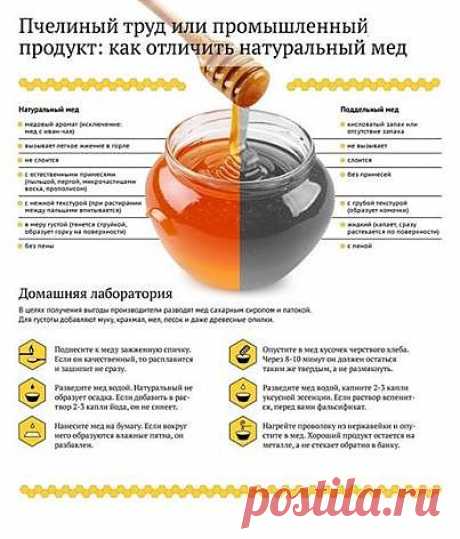 Как отличить натуральный мед