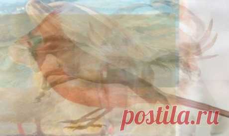 Быстрый способ узнать, какой вы человек на самом деле! Хотите узнать, что вы человек? Каковы ваши эмоции, ваши плюсы и минусы? Тогда посмотрите