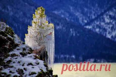 Одноклассники